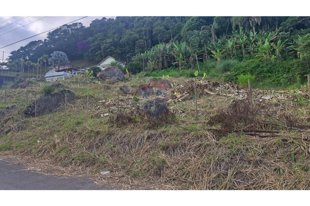 Terreno - Venda - Matias Barbosa , Minas Gerais - WhatsApp Image 2025-04-25 at 08.14.58 (2).jpeg - 860211017-59