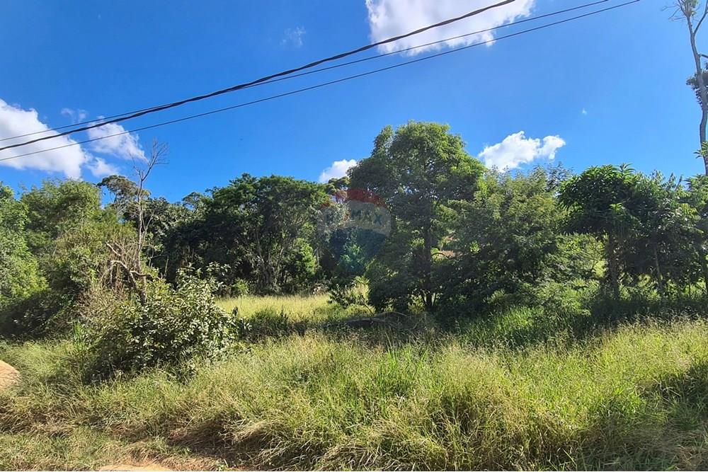 Terreno - Venda - Juiz de Fora , Minas Gerais - Terreno.jpeg - 860281005-148