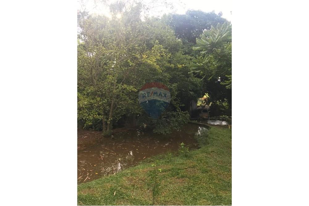 Chácara / Sítio / Fazenda - Venda - Lavras , Minas Gerais - WhatsApp Image 2024-11-06 at 17.03.13 (2).jpeg - 860471035-5