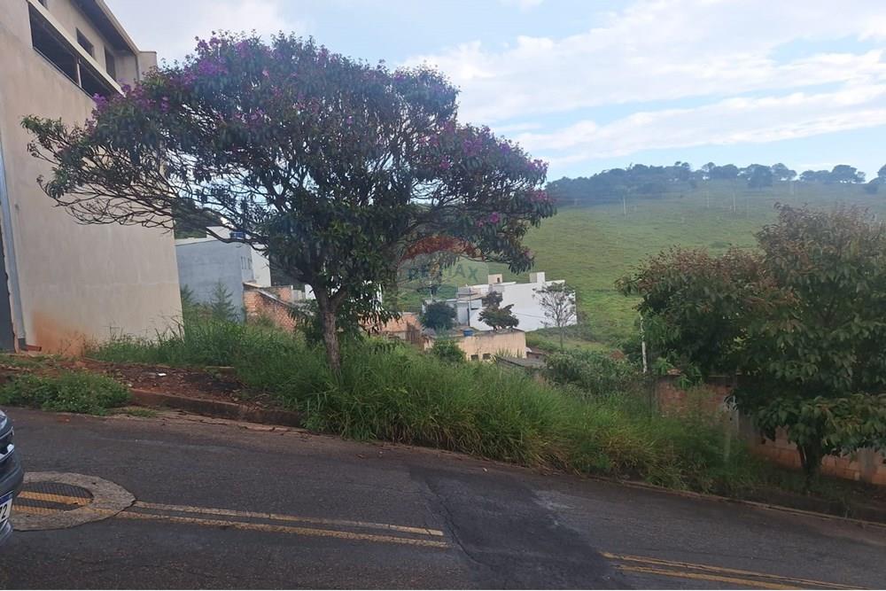 Terreno - Venda - Conselheiro Lafaiete , Minas Gerais - e6c589d0-1b31-4576-ae24-c7883024e1f8.jpeg - 860421004-1203