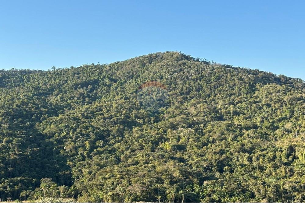 Terreno - Venda - Matias Barbosa , Minas Gerais - WhatsApp Image 2025-10-02 at 14.42.25 (3).jpeg - 860301015-190