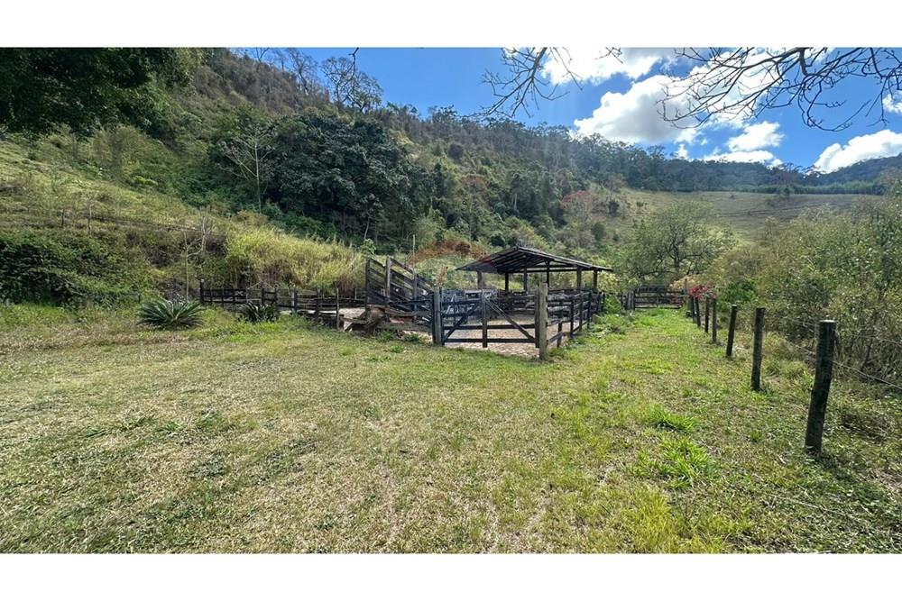 Chácara / Sítio / Fazenda - Venda - Santana do Deserto , Minas Gerais - IMG-20250926-WA0501.jpg - 860291041-20