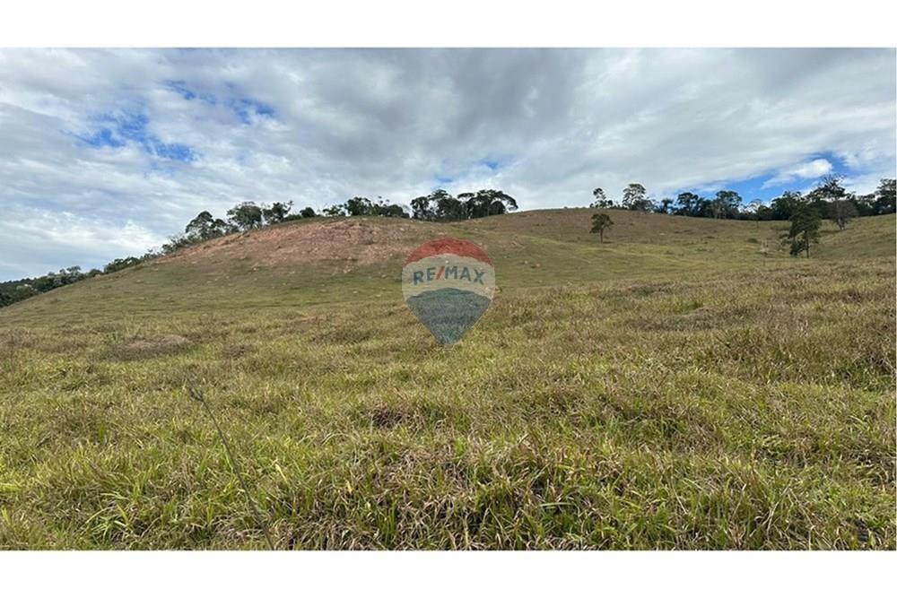 Chácara / Sítio / Fazenda - Venda - Lamim , Minas Gerais - L_d4649c6b-8e12-4f49-ac89-4389eb2003dd.jpg - 860291033-108