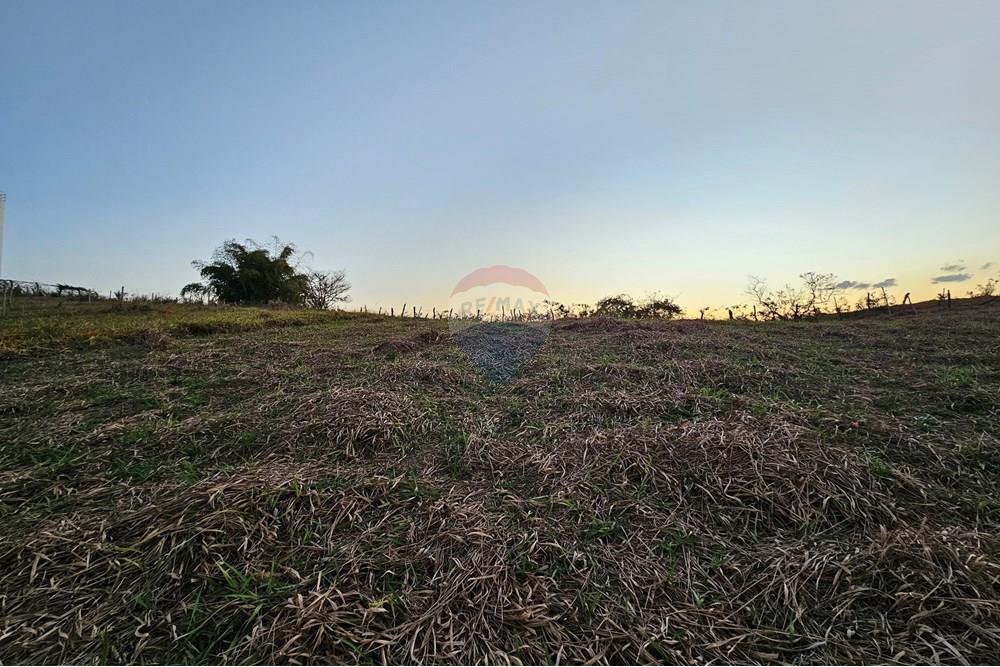 Residenziale - Terreno - Muriaé , Minas Gerais - BR - 20250808_173932.jpg - 860371002-183