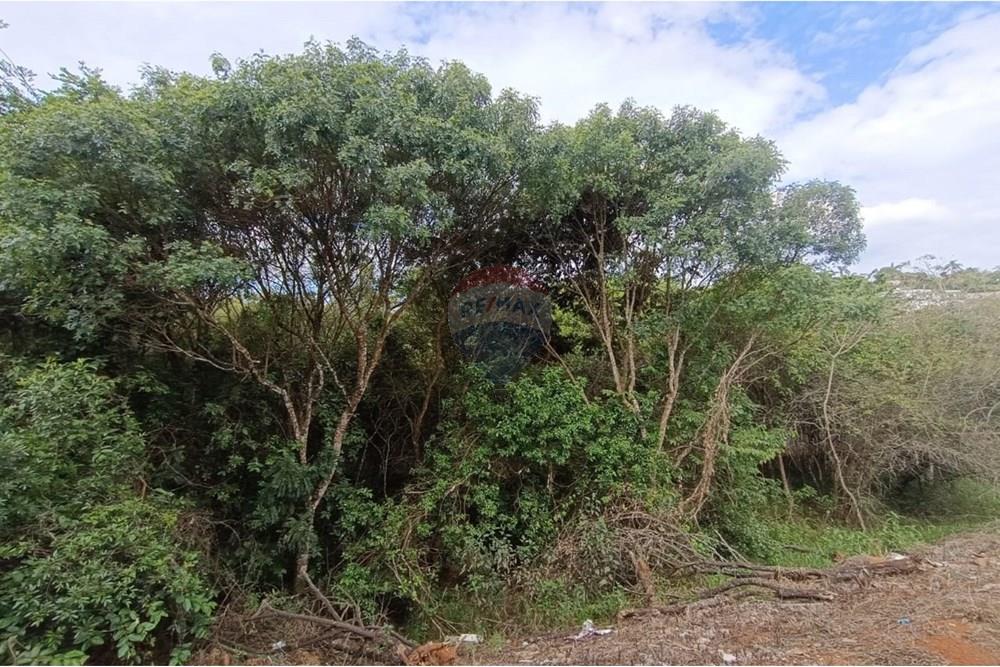 Casa - Venda - Conselheiro Lafaiete , Minas Gerais - 306caa28-4e63-4692-87ce-b53143a0469d.jpg - 860421022-157