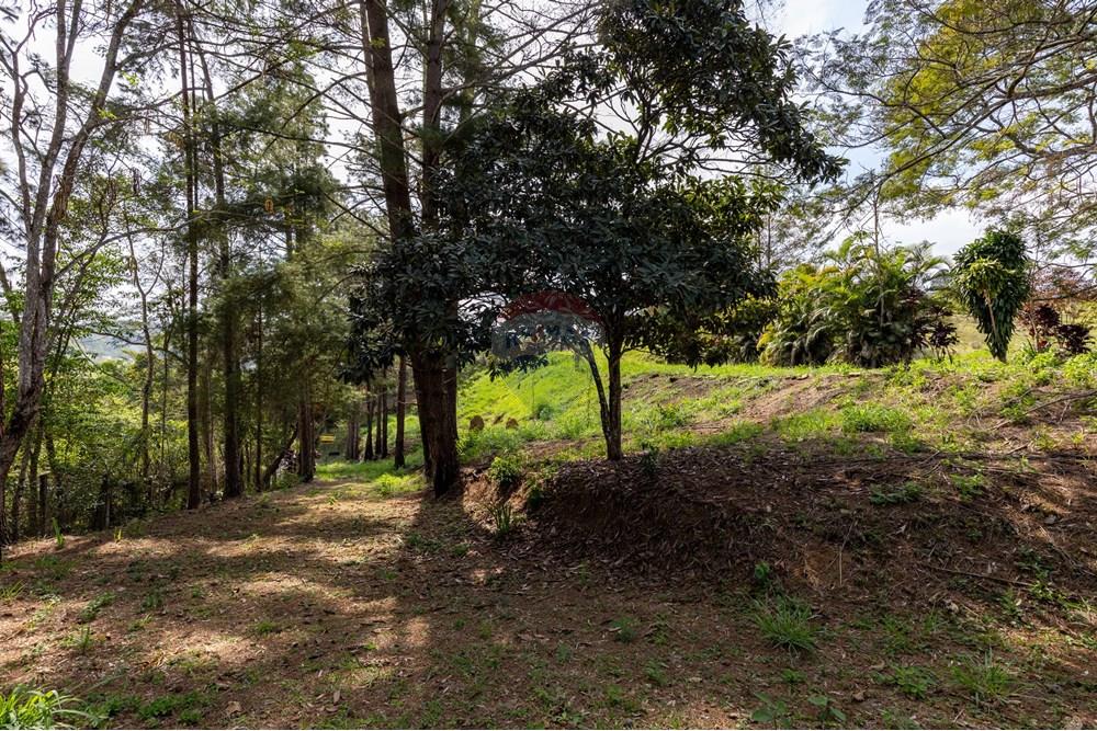 Terreno - Venda - Matias Barbosa , Minas Gerais - Campana-25.jpg - 860281009-136