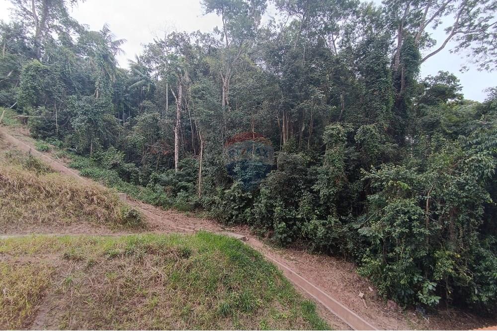 Apartamento - Alugar - Juiz de Fora , Minas Gerais - IMG_20250624_154314.jpg - 860381041-58