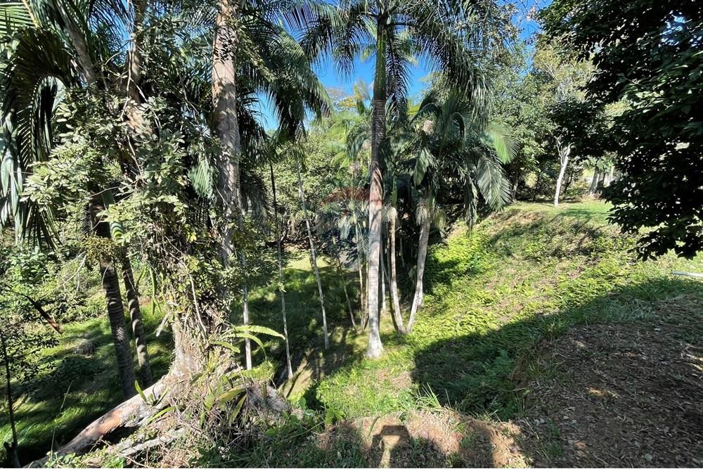 Chácara / Sítio / Fazenda - Venda - Goianá , Minas Gerais - IMG_4499.JPEG - 860301009-486