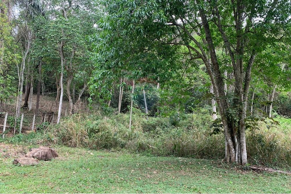 Terreno - Venda - Juiz de Fora , Minas Gerais - Seb3.jpg - 860271016-6