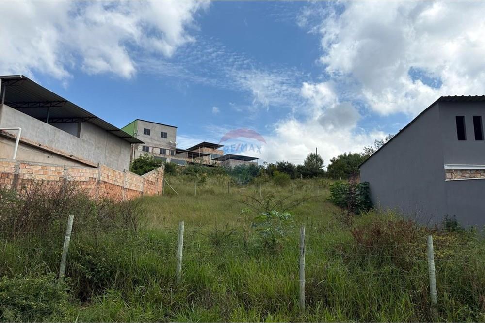 Terreno - Venda - Conselheiro Lafaiete , Minas Gerais - c1248e3d-ef8b-414c-b89a-0acceee647ed.jpeg - 860421022-100