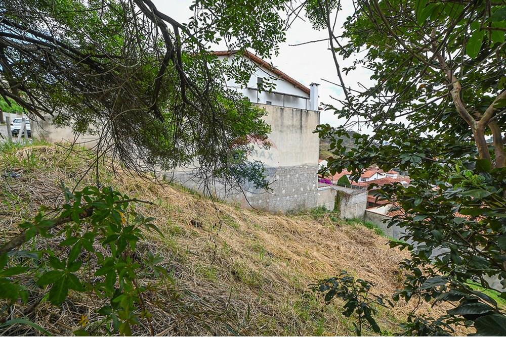 Terreno - Venda - Juiz de Fora , Minas Gerais - michaelseed.photo_remax semana 2-140-XL.jpg - 860211024-181