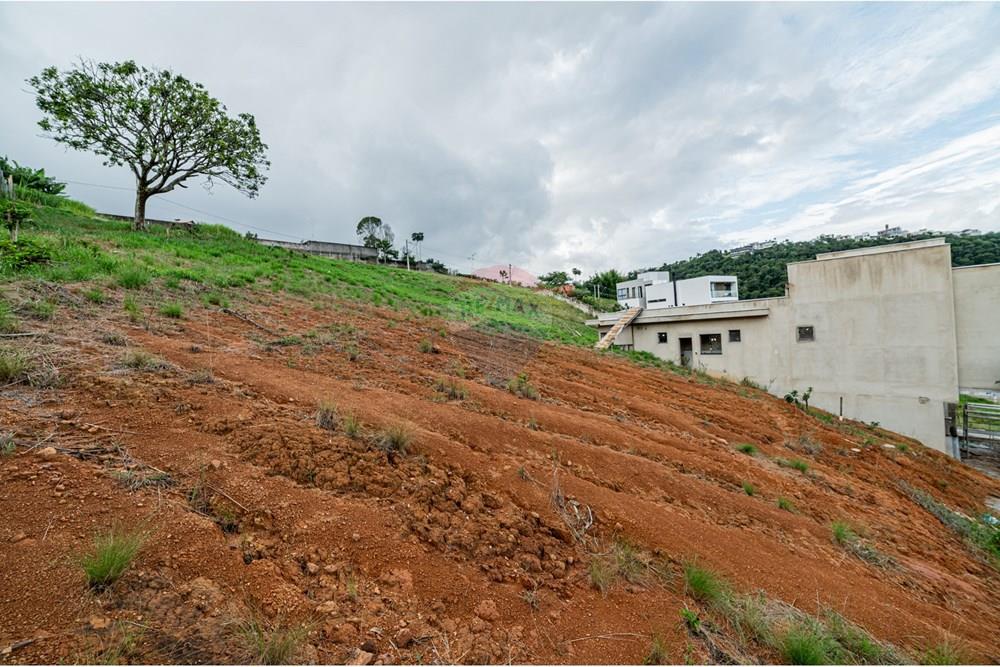 Terreno - Venda - Juiz de Fora , Minas Gerais - michaelseed%20photo_SEMANA3_MAR%C3%87O-3-2.jpg - 860271007-47