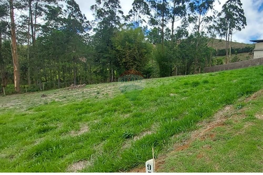 Terreno - Venda - Juiz de Fora , Minas Gerais - WhatsApp Image 2024-11-12 at 13.58.40 (1).jpeg - 860211123-5