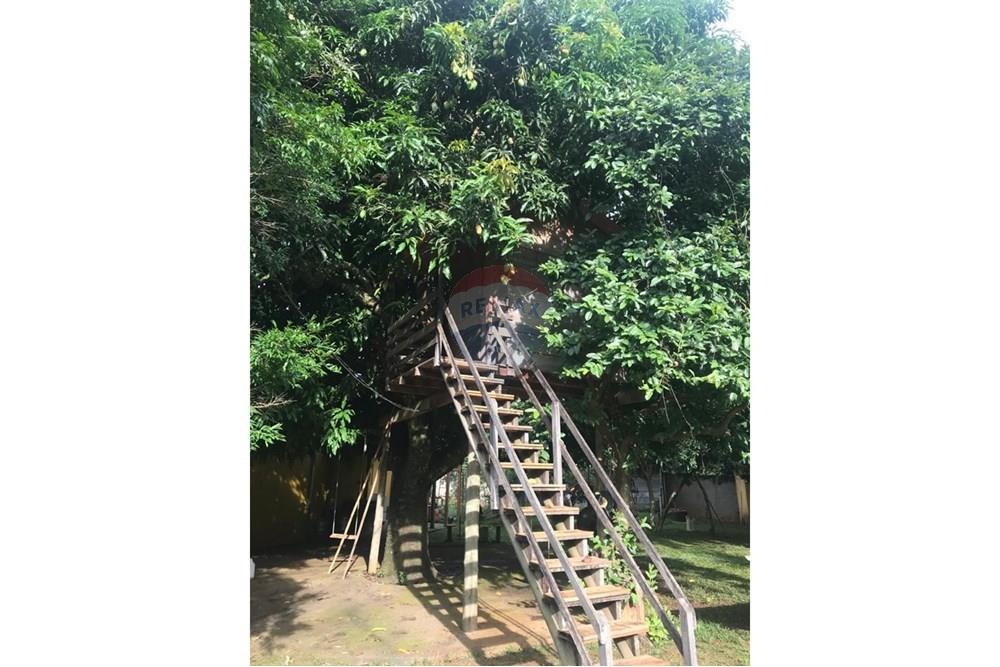 Chácara / Sítio / Fazenda - Venda - Lavras , Minas Gerais - WhatsApp Image 2024-11-06 at 17.03.14.jpeg - 860471035-5