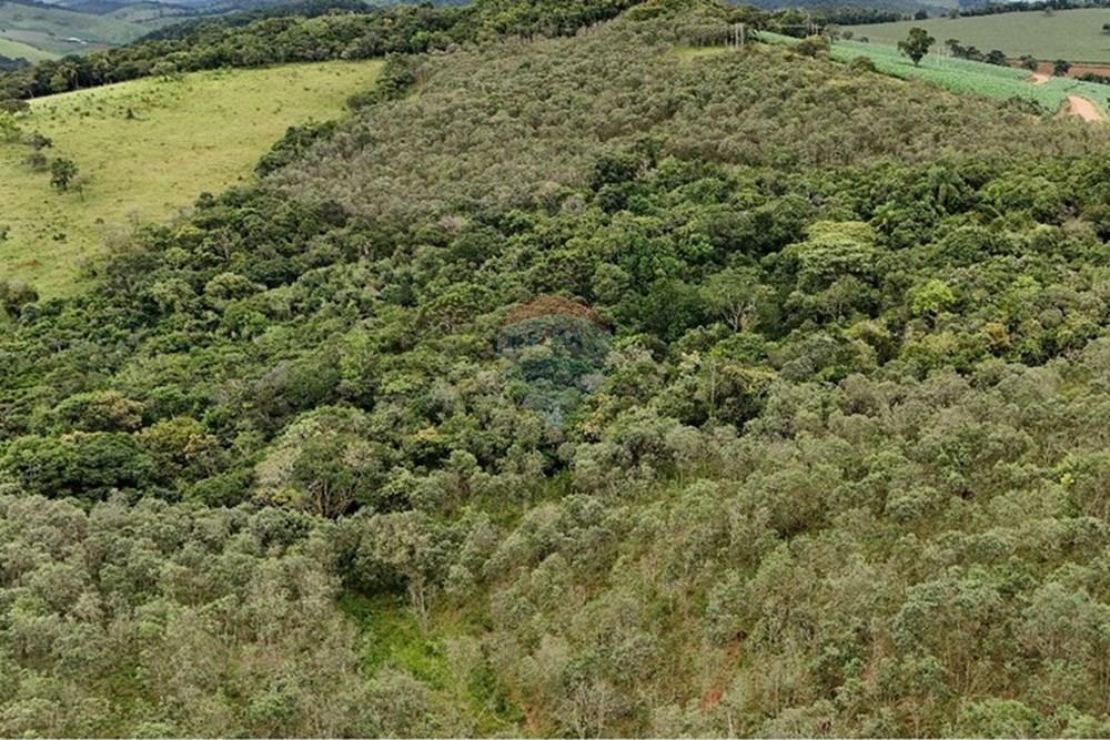 Terreno - Venda - Liberdade , Minas Gerais - sitio giffa 5.jpg - 860271009-18
