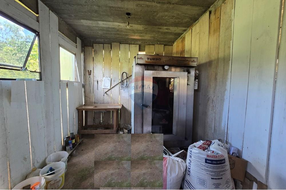 Chácara / Sítio / Fazenda - Venda - Ewbank da Câmara , Minas Gerais - 48.jpg - 860231001-211