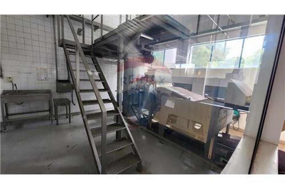 Galpão - Alugar - Areal , Rio de Janeiro - WhatsApp Image 2025-04-29 at 15.16.55 (14).jpeg - 860241088-211