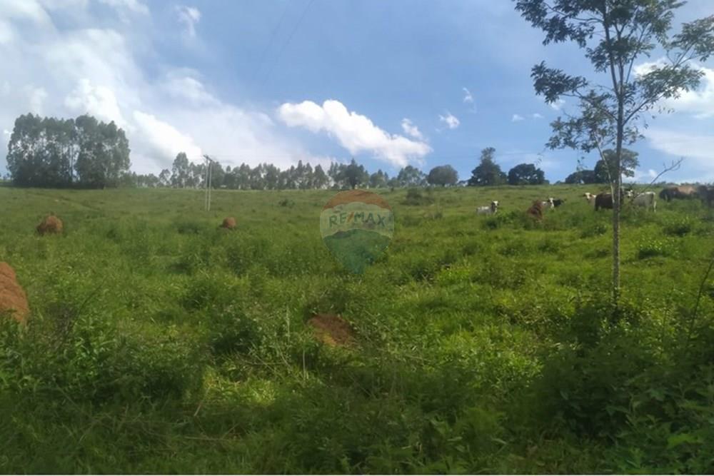 Chácara / Sítio / Fazenda - Venda - Queluzito , Minas Gerais - WhatsApp Image 2025-01-08 at 06.40.42 (3).jpeg - 860421002-442