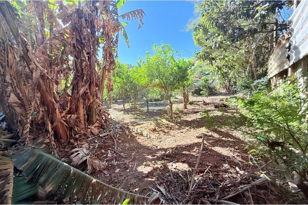 Terreno - Venda - Juiz de Fora , Minas Gerais - WhatsApp Image 2025-09-04 at 15.47.11 (4).jpeg - Cozinha - 860211077-201