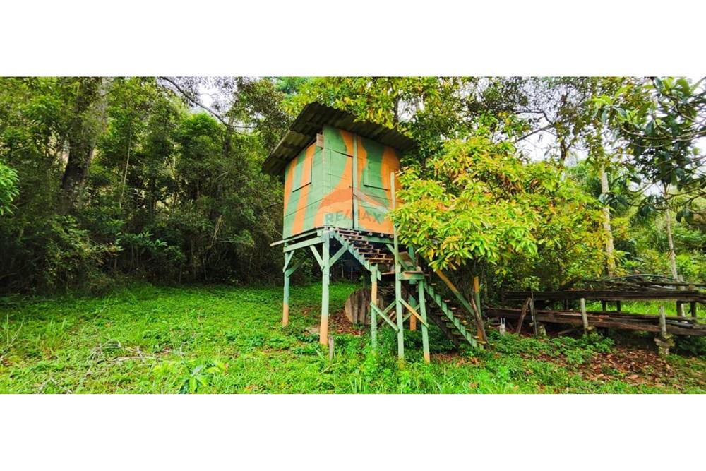 Chácara / Sítio / Fazenda - Venda - Juiz de Fora , Minas Gerais - IMG-20250411-WA0049.jpg - 860291033-94