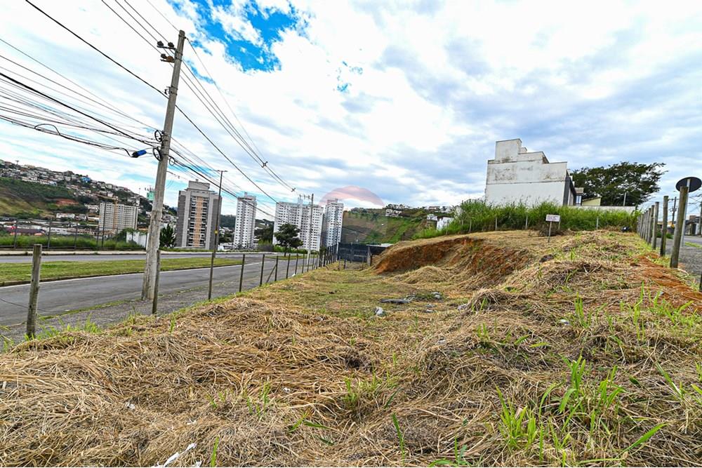 Terreno - Venda - Juiz de Fora , Minas Gerais - michaelseed photo_202401-45.jpg - 860211132-1