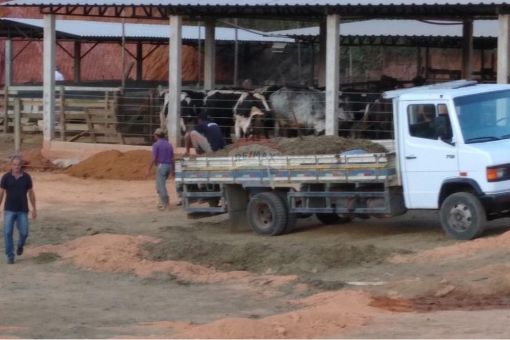 Chácara / Sítio / Fazenda - Venda - Juiz de Fora , Minas Gerais - 13a53f8f-7f71-4c5c-859b-708f95a5ad54.JPG - 860291033-68