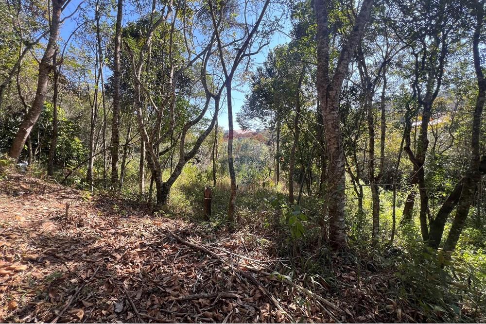 Casa - Venda - Lima Duarte , Minas Gerais - IMG_8159.JPG - 860231001-212
