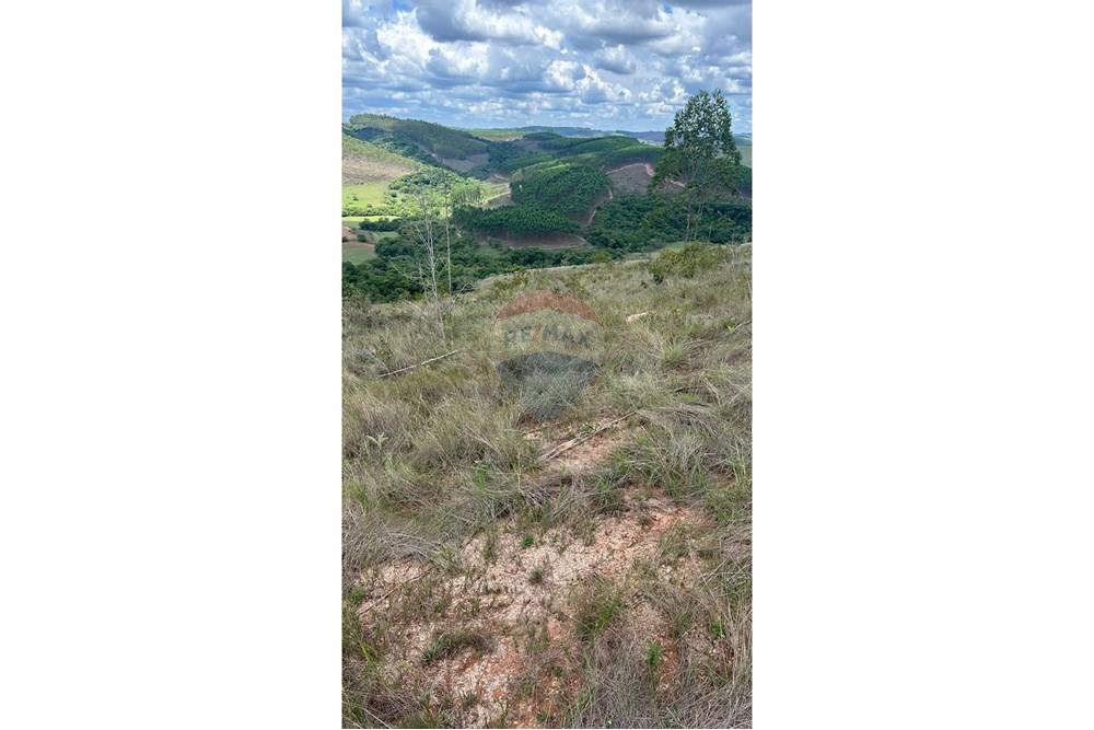 Chácara / Sítio / Fazenda - Venda - Santa Rita do Ibitipoca , Minas Gerais - 72d947e5-c173-4ddf-b67a-7e2cf2f2fa0f.JPG - 860291033-67