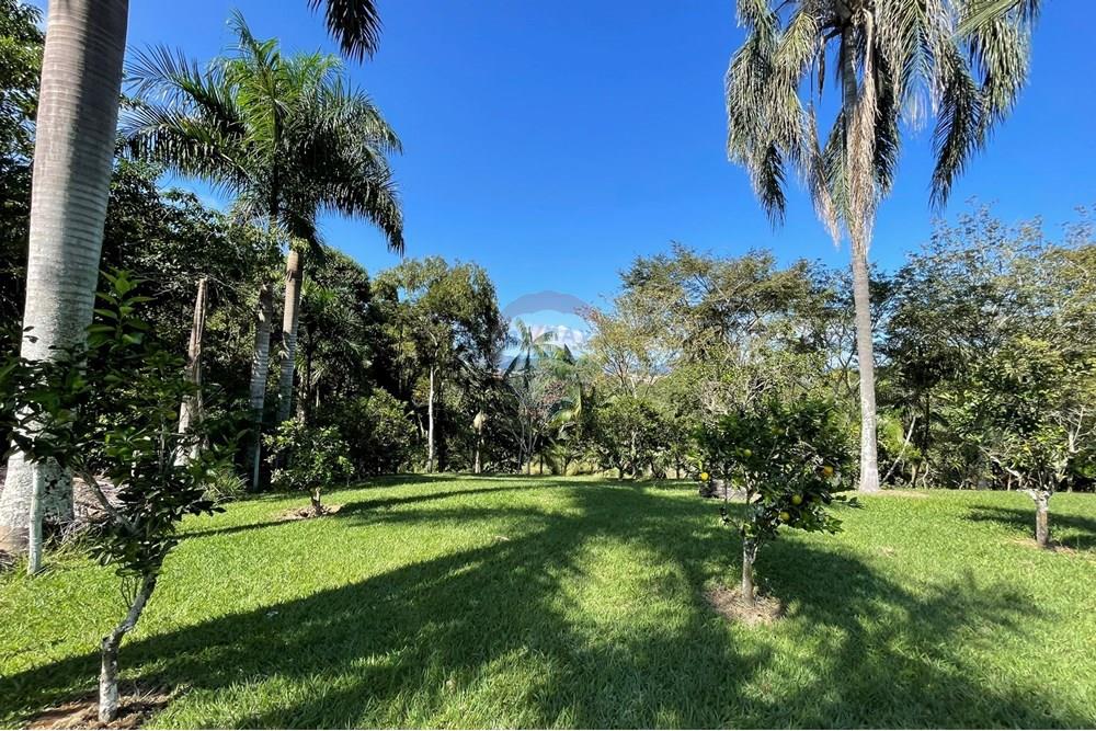 Chácara / Sítio / Fazenda - Venda - Goianá , Minas Gerais - IMG_4512.JPEG - 860301009-486