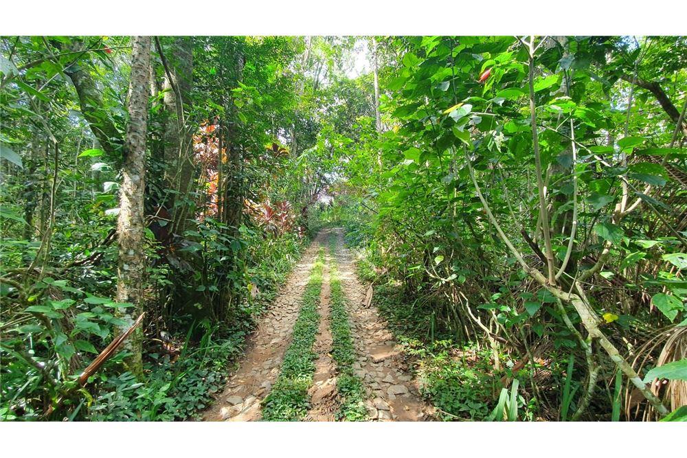 Terreno - Venda - Juiz de Fora , Minas Gerais - Jardim Interno - 860231021-231