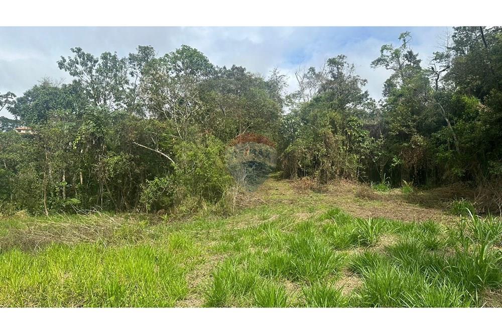 Terreno - Venda - Juiz de Fora , Minas Gerais - WhatsApp Image 2024-12-23 at 10.33.12.jpeg - 860291033-70