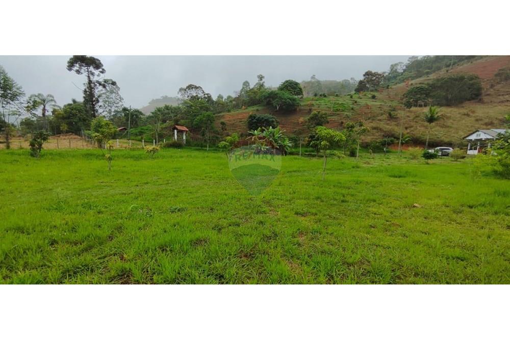 Chácara / Sítio / Fazenda - Venda - Juiz de Fora , Minas Gerais - IMG-20250411-WA0039.jpg - 860291033-94