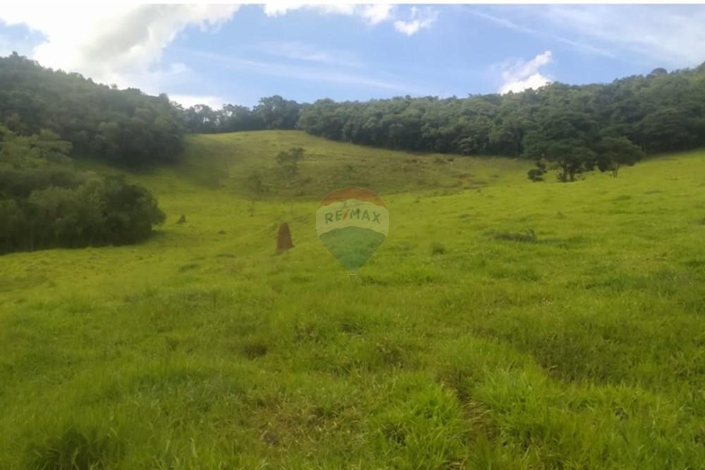 Chácara / Sítio / Fazenda - Venda - Queluzito , Minas Gerais - WhatsApp Image 2025-01-08 at 06.40.39.jpeg - 860421002-442