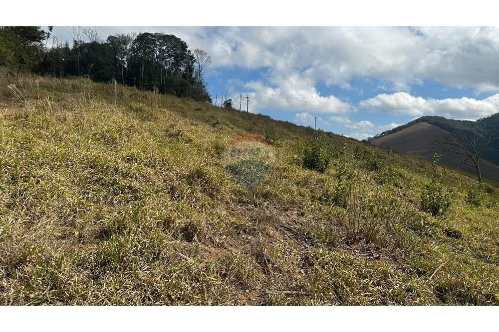 Terreno - Venda - Juiz de Fora , Minas Gerais - 919641d7-642c-4017-85fa-2853b1df9839.JPG - 860291033-116