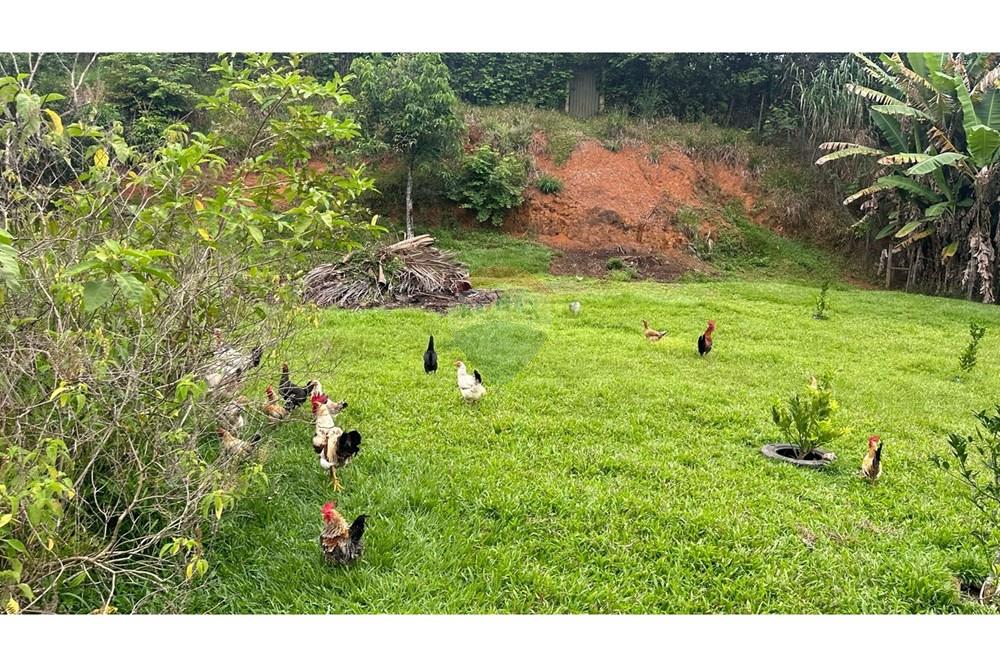 Chácara / Sítio / Fazenda - Venda - Rio Novo , Minas Gerais - RIO NOVO (56).JPG - 860291033-98