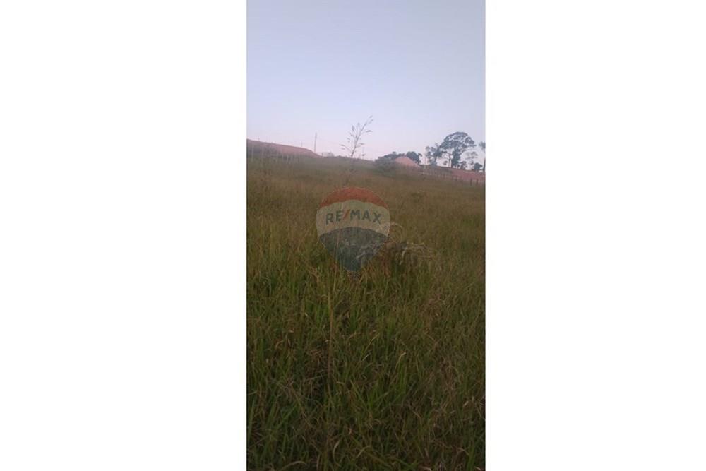 Terreno - Venda - Congonhas , Minas Gerais - Imagem do WhatsApp de 2025-08-27 à(s) 14.24.38_20274c80.jpg - 860421002-469
