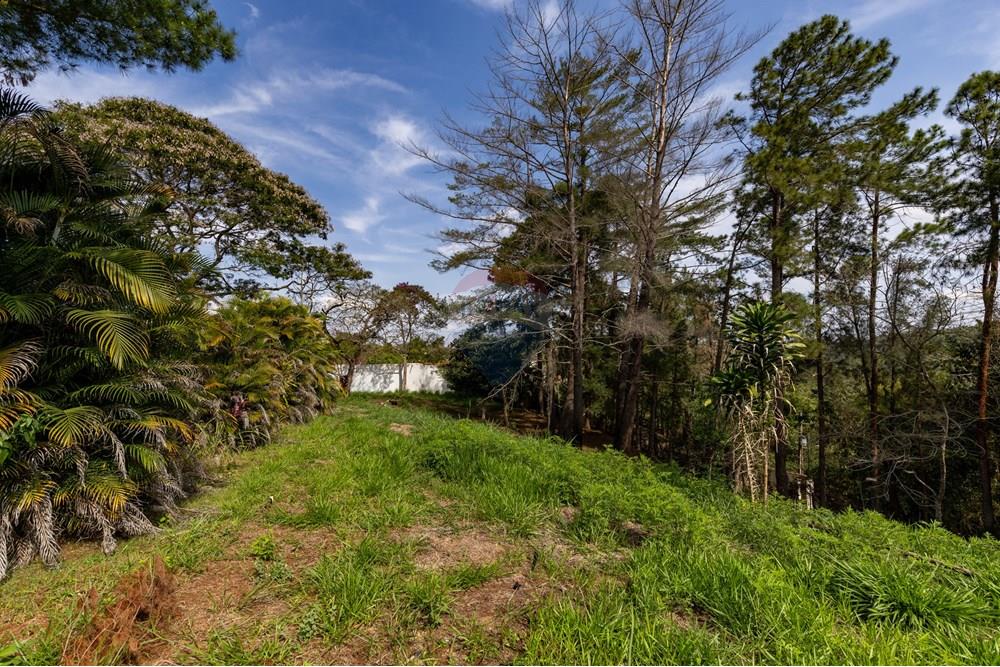 Terreno - Venda - Matias Barbosa , Minas Gerais - Campana-21.jpg - 860281009-136