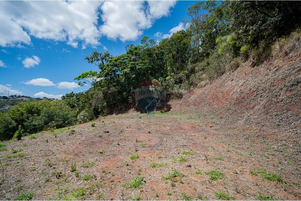 Terreno - Venda - Juiz de Fora , Minas Gerais - michaelseed photo_s3-201.jpg - Fachada - 860211077-205