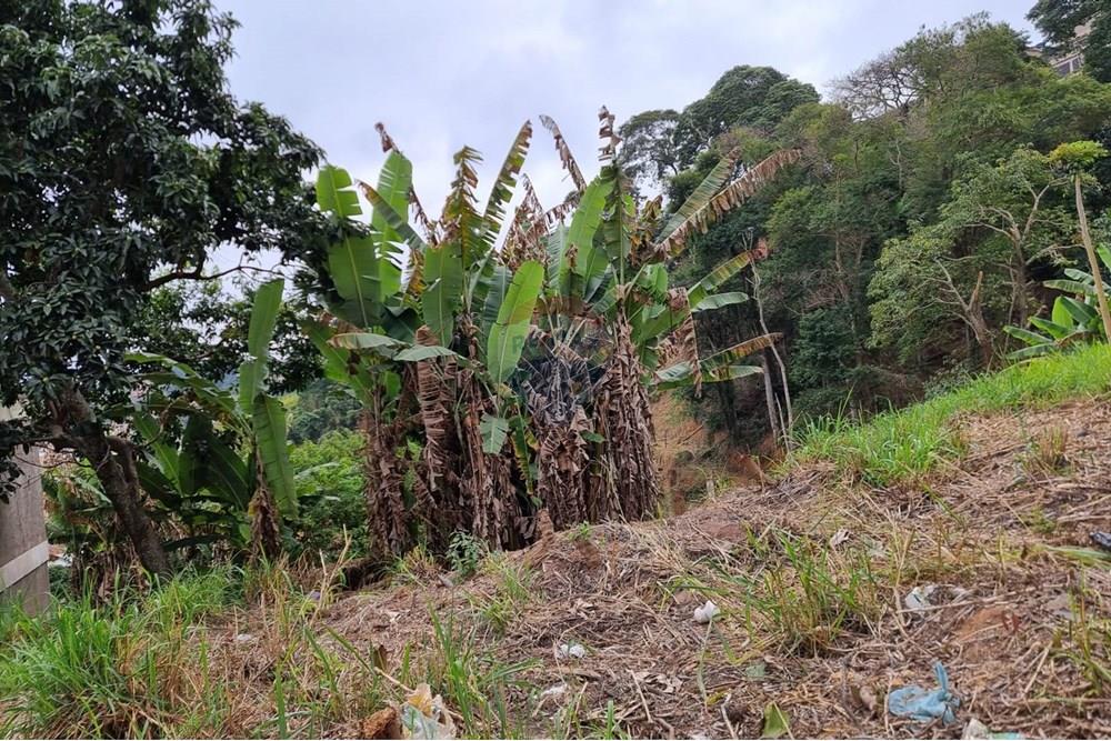 Terreno - Venda - Juiz de Fora , Minas Gerais - IMG-20250729-WA0133.jpg - 860211131-10