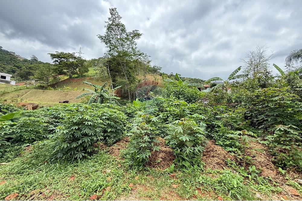 Terreno - Venda - Juiz de Fora , Minas Gerais - IMG-20250502-WA0024.jpg - 860271007-42