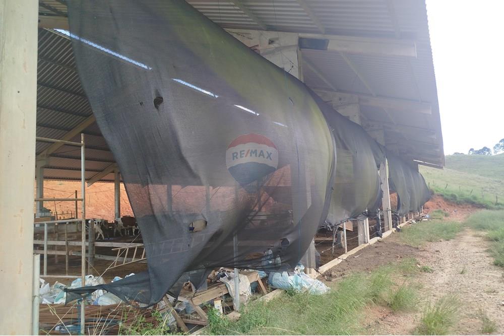 Fazenda - Venda - Barbacena , Minas Gerais - IMG_20250421_152732.jpg - 860391012-32