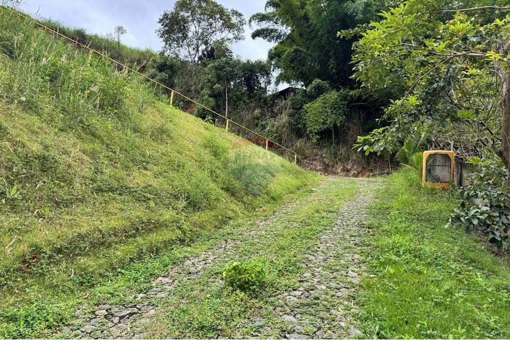 Casa Comercial - Alugar - Matias Barbosa , Minas Gerais - IMG_7982.JPEG - 860301001-628