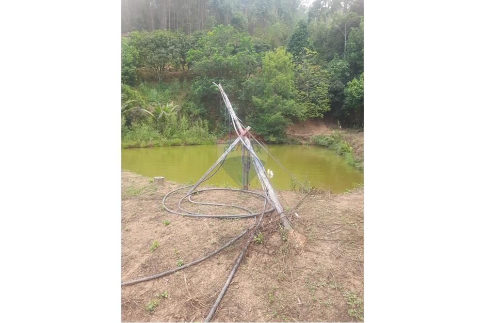 Chácara / Sítio / Fazenda - Venda - Ewbank da Câmara , Minas Gerais - WhatsApp Image 2025-04-09 at 00.41.43 (1).jpeg - 860231001-211