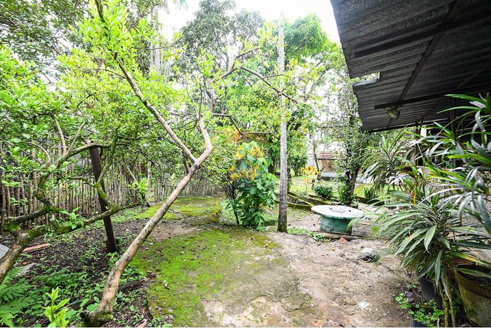 Terreno - Venda - Juiz de Fora , Minas Gerais - 1.jpg - 860281078-32