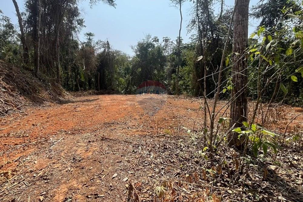 Chácara / Sítio / Fazenda - Venda - Juiz de Fora , Minas Gerais - IMG-20240918-WA0021.jpg - 860431023-209