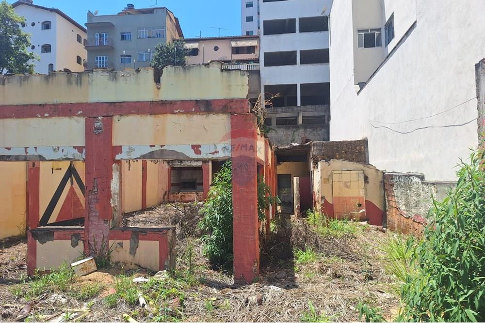 Terreno - Venda - Conselheiro Lafaiete , Minas Gerais - interior terreno.jpg - 860421004-1256