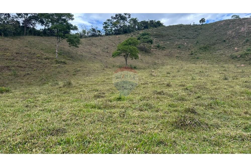 Chácara / Sítio / Fazenda - Venda - Lamim , Minas Gerais - 26.JPG - 860291033-108