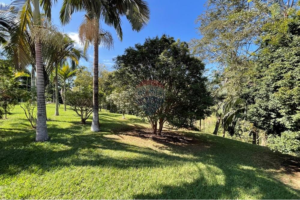 Chácara / Sítio / Fazenda - Venda - Goianá , Minas Gerais - IMG_4496.JPEG - 860301009-486