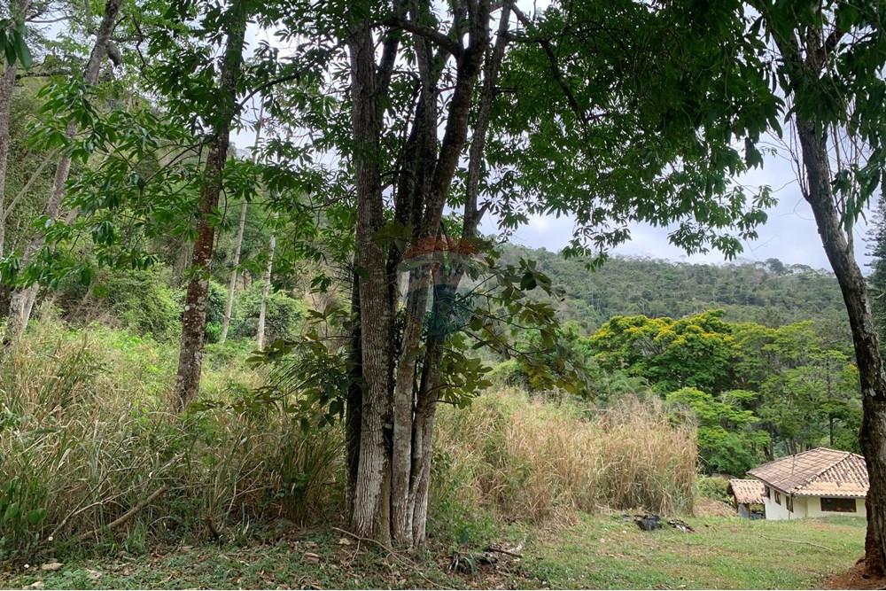 Terreno - Venda - Juiz de Fora , Minas Gerais - Seb1.jpg - 860271016-6