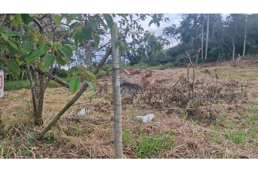 Terreno - Venda - Chácara , Minas Gerais - WhatsApp Image 2025-04-27 at 19.08.13 (3).jpeg - 860211017-60